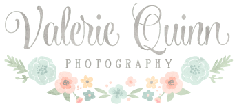 Valerie Quinn Photography logo